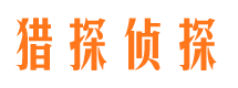 元坝婚外情调查取证